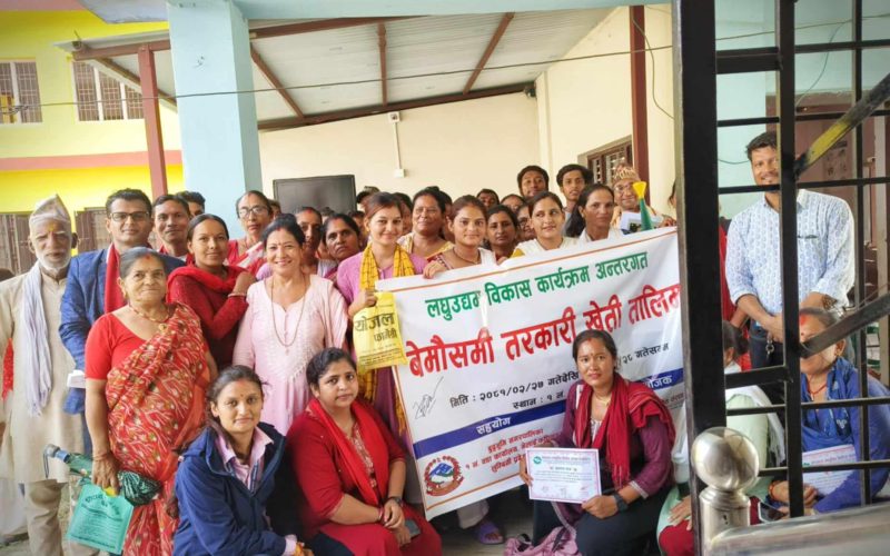 नेशनल लघुवित्तद्वारा बेमौसमी तरकारी खेती तालिम सम्पन्न