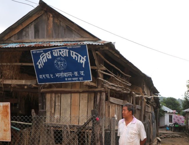 बाख्रा पाल्ने रहरबाट व्यवसायी बन्दै