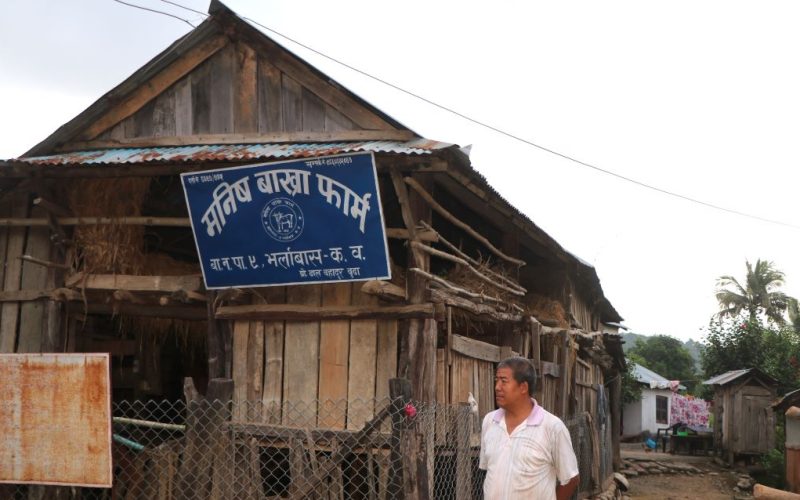 बाख्रा पाल्ने रहरबाट व्यवसायी बन्दै
