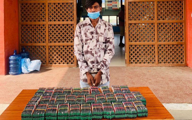 तेह्र हजार पिस ट्रामाडोल (लागु औषधमा प्रयोग हुने) क्याप्सुल बरामद