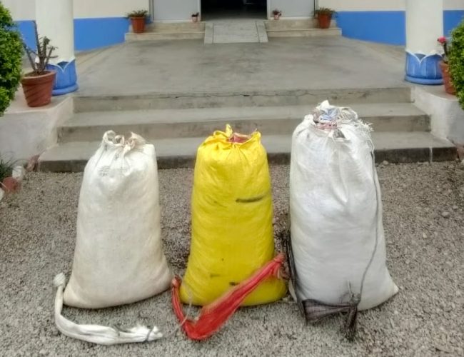 गाँजा ओसारपसार: कपिलवस्तुमा ४३.२४ किलोग्राम गाँजा बरामद