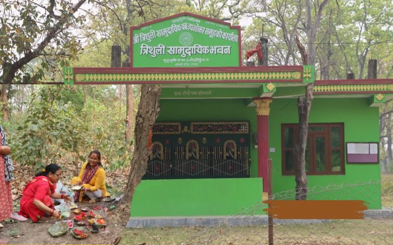 वन देविको पूजा गरी रुख कटान सुरु