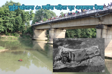 होमपेज