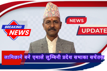 होमपेज