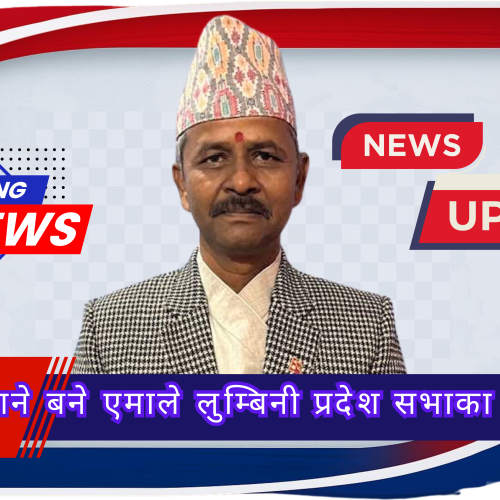 लामिछाने बने एमाले लुम्बिनी प्रदेश सभाका सचेतक