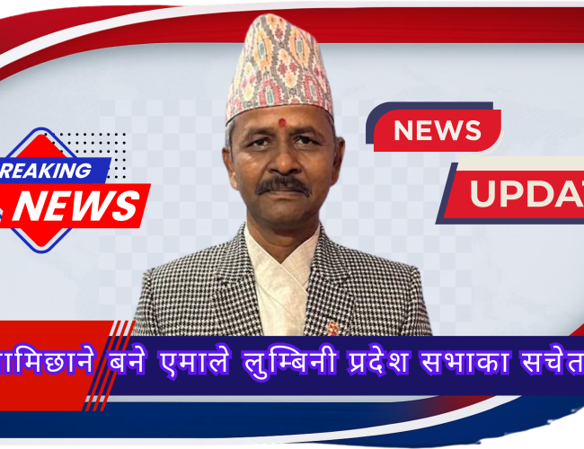 होमपेज