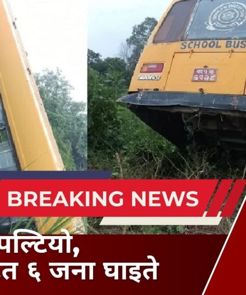 स्कुल बस दुर्घटना, चालकसहित ६ जना घाइते