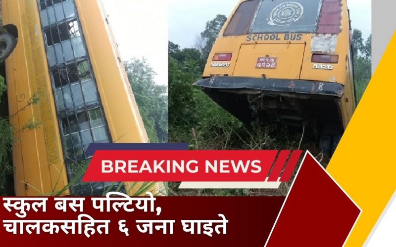 स्कुल बस दुर्घटना, चालकसहित ६ जना घाइते