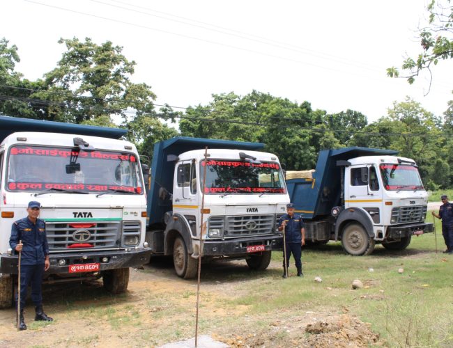 गोरुसिंगे प्रहरीले समायो मिस्कट चोर्ने तीन टिप्पर