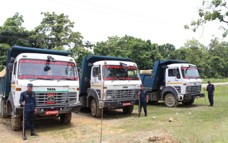 गोरुसिंगे प्रहरीले समायो मिस्कट चोर्ने तीन टिप्पर